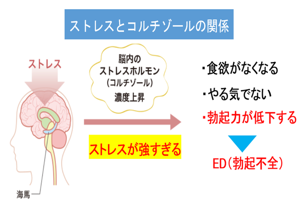 性欲と勃起力を上げる14の精力食材! | STERON