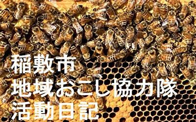 稲敷市 地域おこし協力隊‐【Vol 050】
