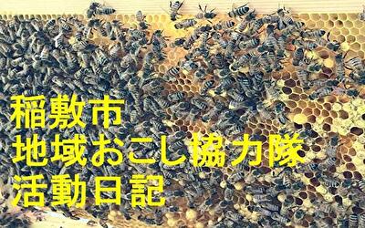 稲敷市 地域おこし協力隊‐【Vol 061】
